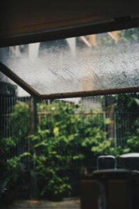 suhyeon choi HCDugQDdtfc unsplash