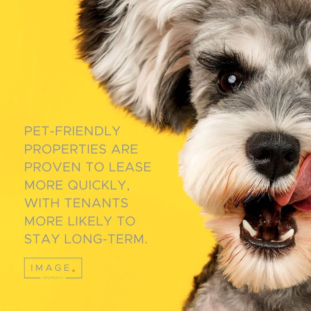 pets and rental properties