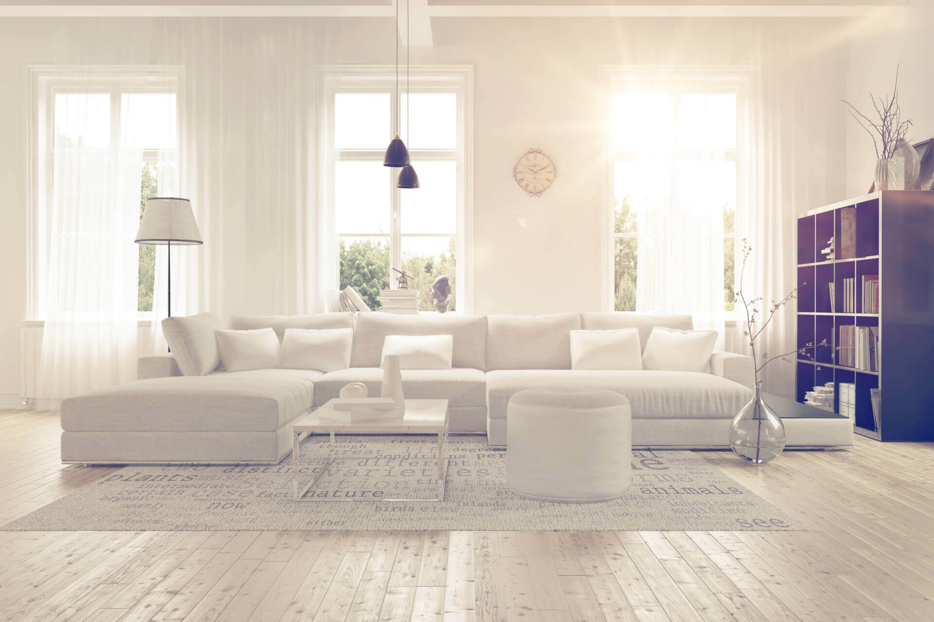 LARGE SPACIOUS LOUNGE ROOM