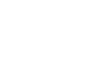 logo white