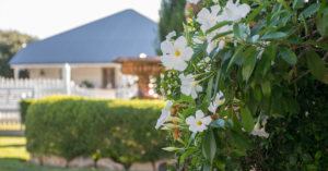bracken-ridge-charms-image-property-banner