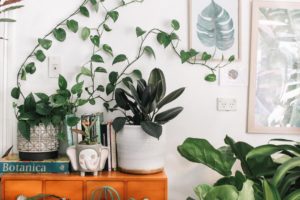 about image property