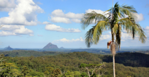 image property population soaring in palmview 1024x536 1